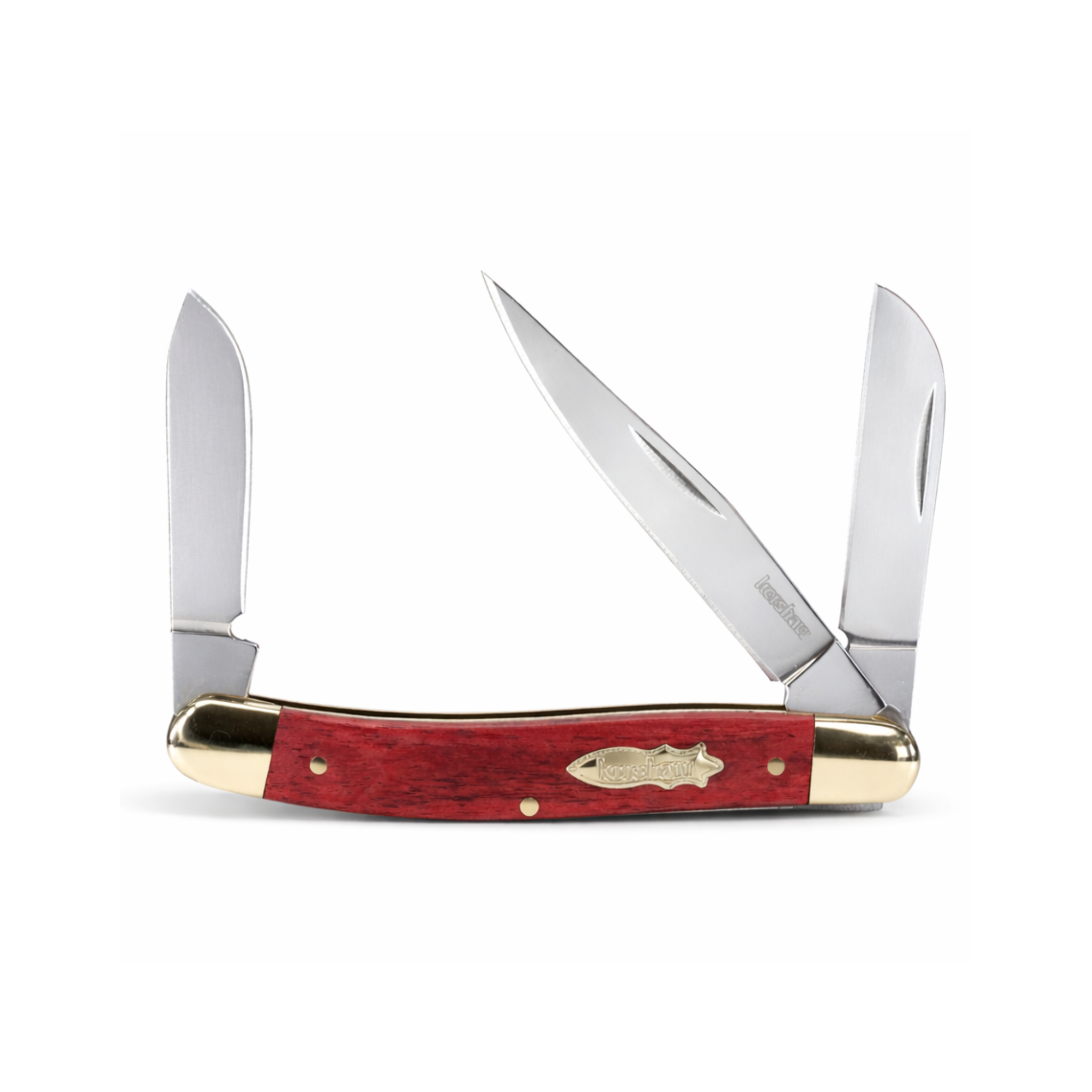 Brandywine Folder Red Bone (Kershaw)