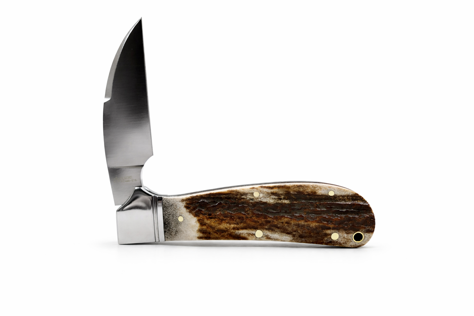 Foldable knife with staghorn handle on a white background